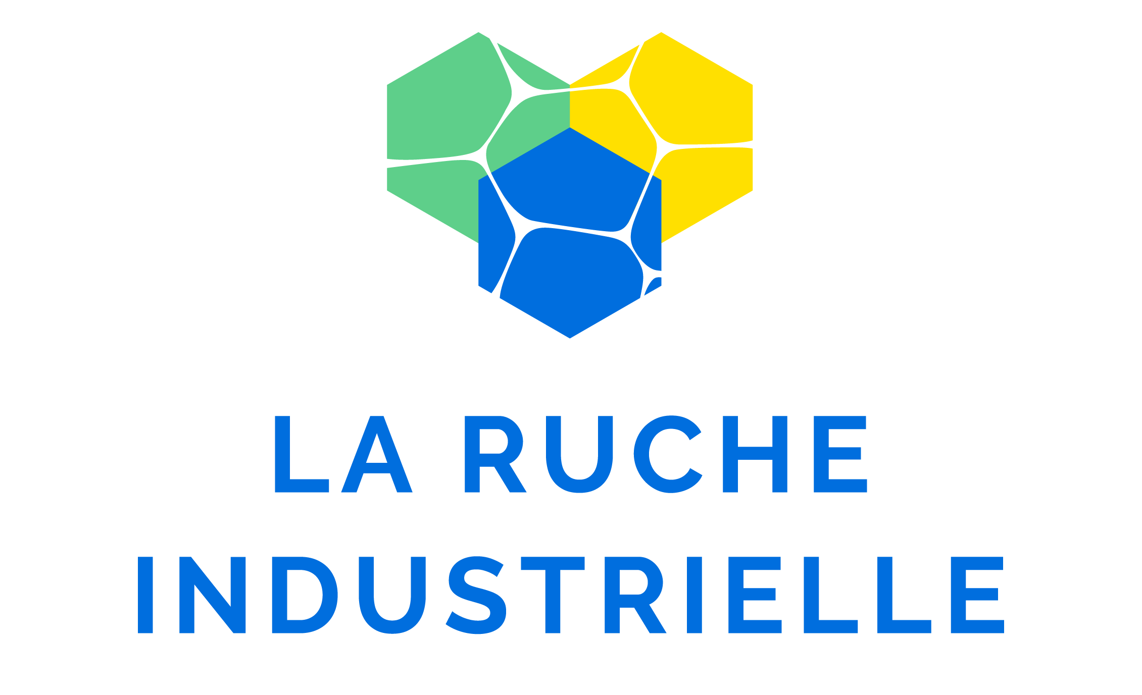LOGO RUCHE INDUSTRIELLE - RVB (3)